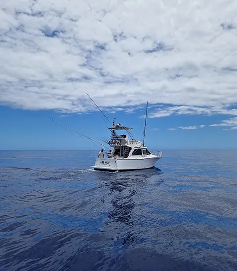 Bateau de pêche au large - CRPMEM de La Réunion