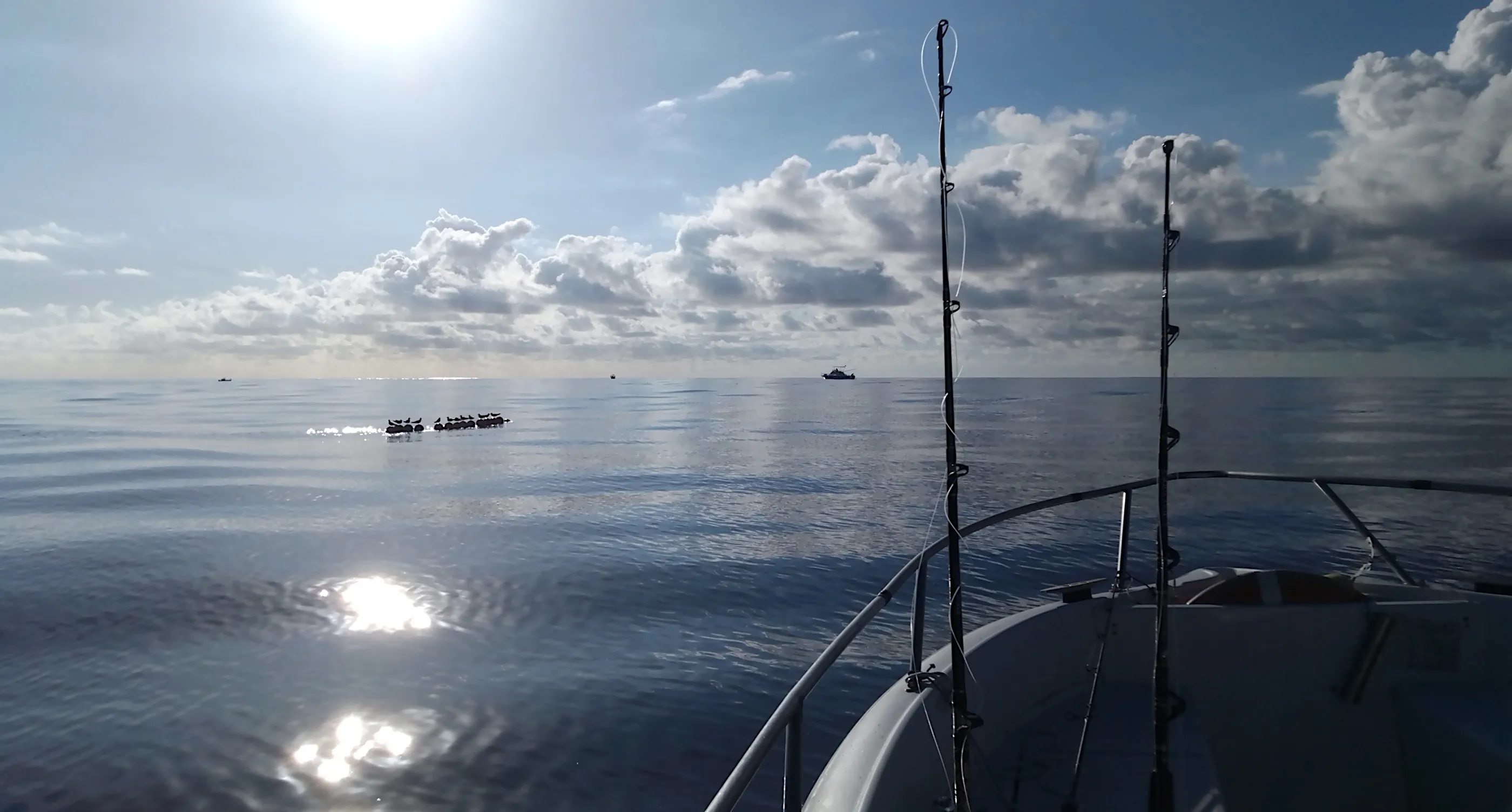 La pêche artisanale côtière