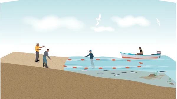 PÊCHE À LA SENNE DE PLAGE