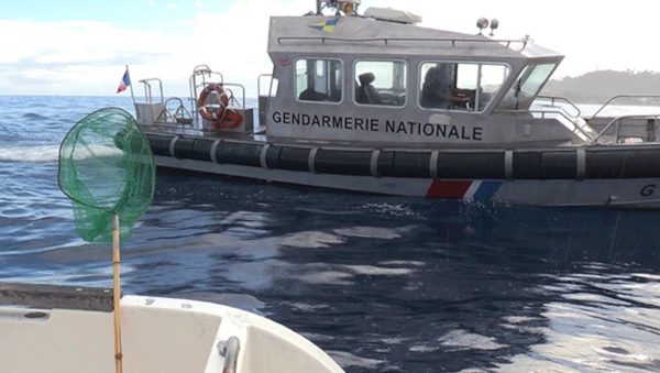 Brigadenautique grise