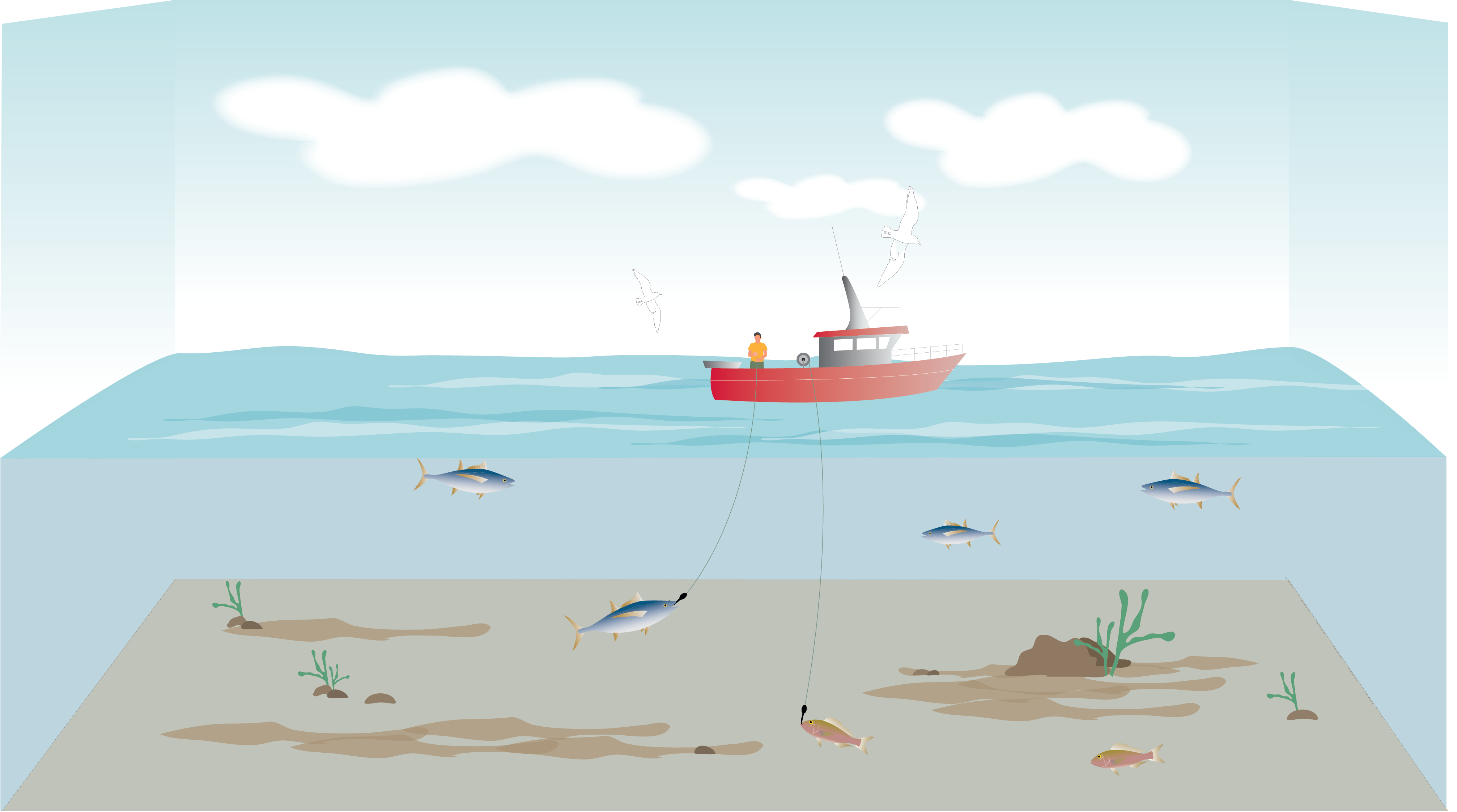 PÊCHE LIGNE À MAIN copie