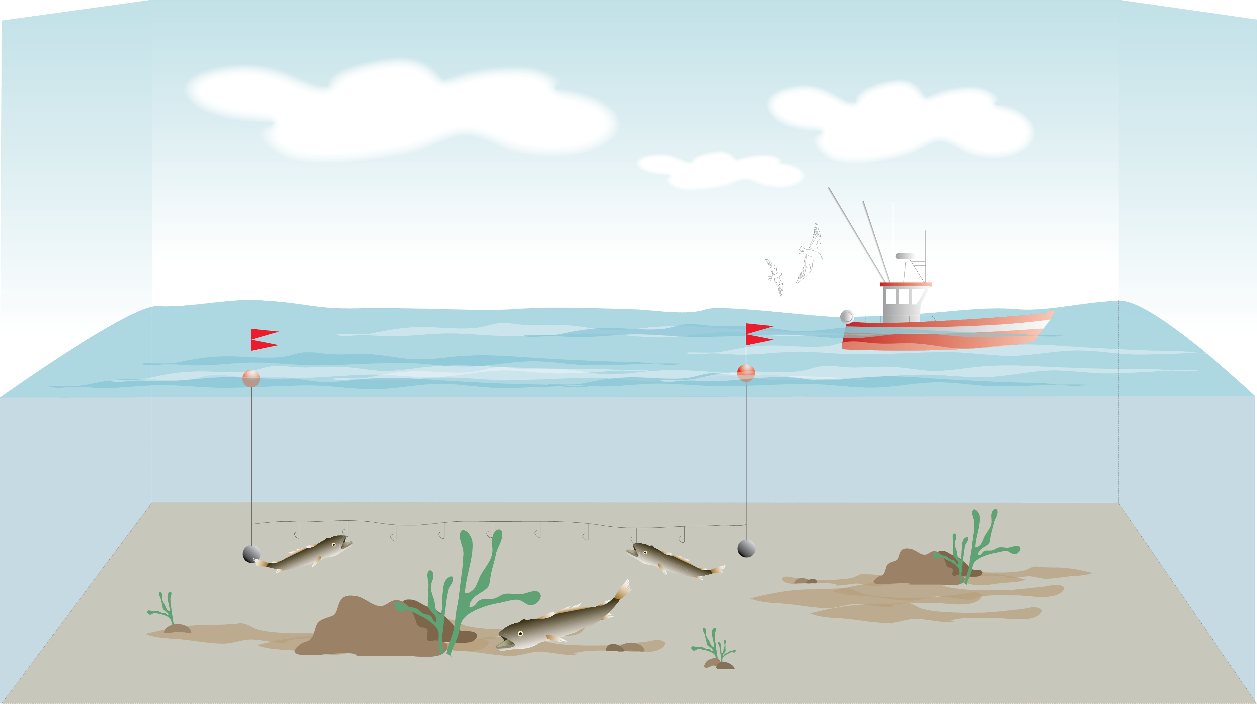 PÊCHE À LA PALANGRE DE FOND