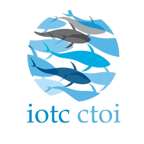 Logo CTOI