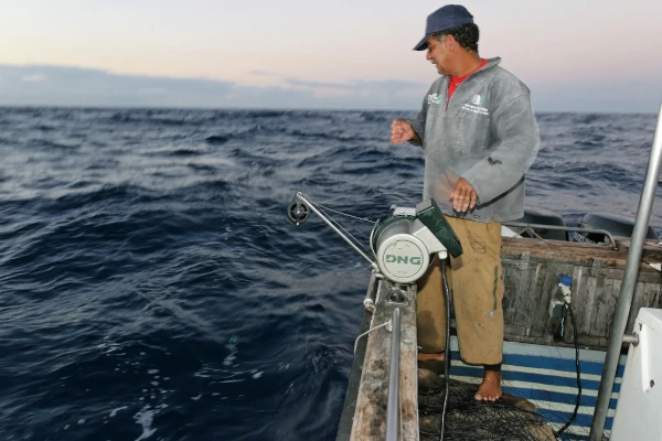 Moulinet électrique