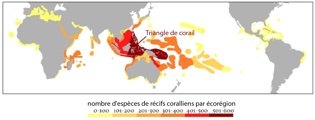 About coraldiversity