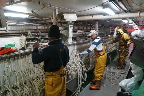 Palangre légine crédit Photo Lucie TOUSSAINT TAAF