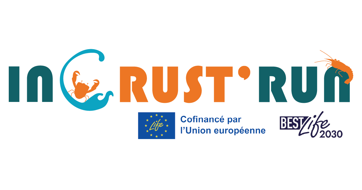 LOGOS PROJETS AI INCRUST RUN