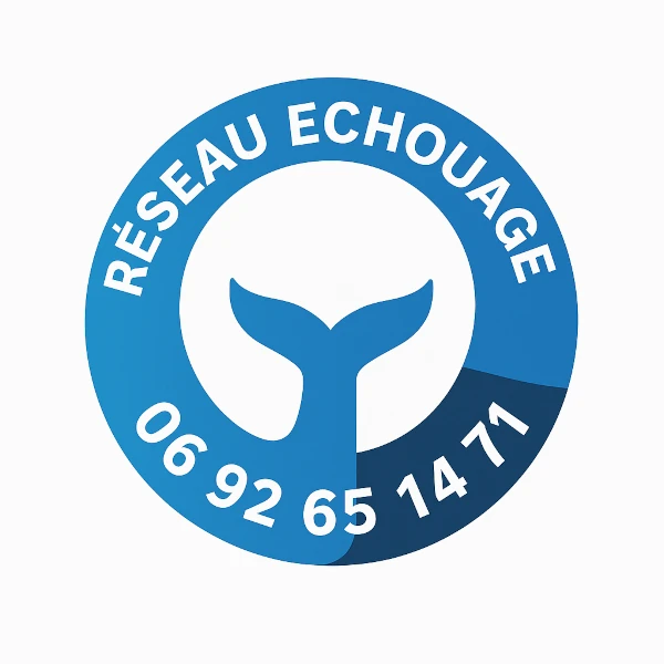 Réseau Echouage