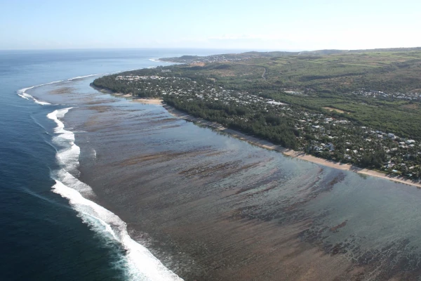 AERIENNE Récif de la Saline les Bains B Cauvin GIP 2009 RNMR eclaircie