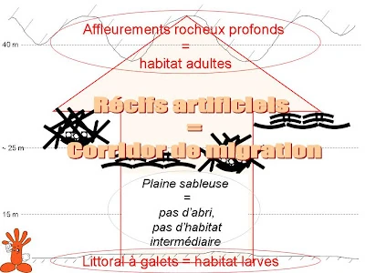 Corail Reunion corridor